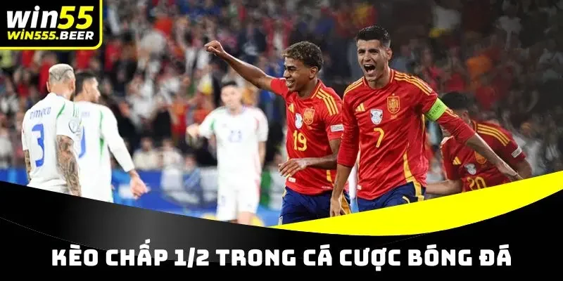 Kèo chấp 1/2 là tỷ lệ được chọn khi 2 đội ngang bằng nhau